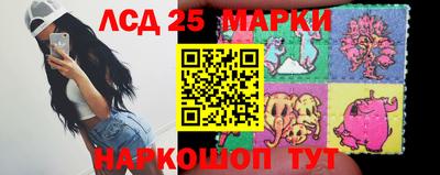 mdpv Ставрополь