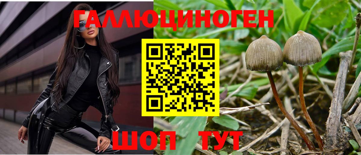 Псилоцибиновые грибы Magic Shrooms Ахтубинск