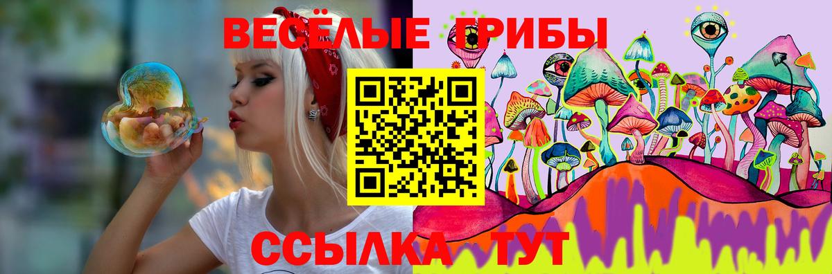 Ахтубинск  Галлюциногенные грибы Psilocybine cubensis  Вход с VPN 